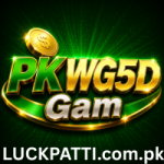 PKWG5DGame