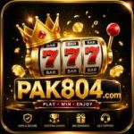 PAK804 Game